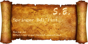 Springer Bálint névjegykártya